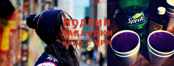 сатива Инсар