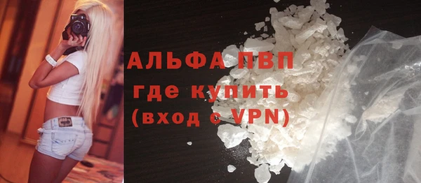 сатива Инсар