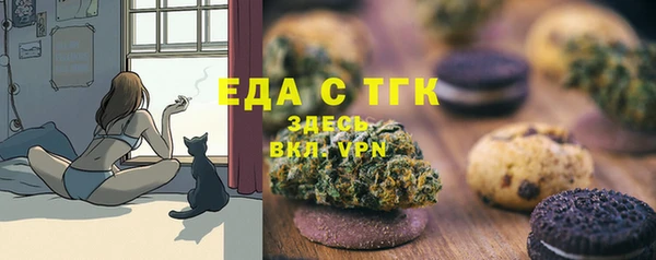 сатива Инсар