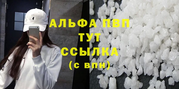 сатива Инсар