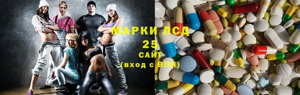 сатива Инсар