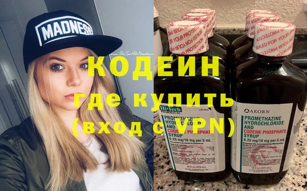 сатива Инсар